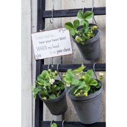 Metal Skilt " I can`t wait to..." (204)