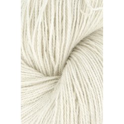 Lang Yarns - RAW#1 - SW Exfine Merino - polyamid - Angelina slv 