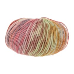 Lang Yarns - Cloud Funky Fv. 24 Brick/Ivy/Eggplant/Rose Multi