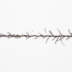 Lang Yarns - Astra Fv. 87 Brun