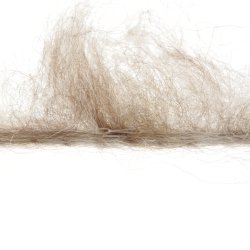 Lang Yarns - Shirley Fv. 96 Lysbrun