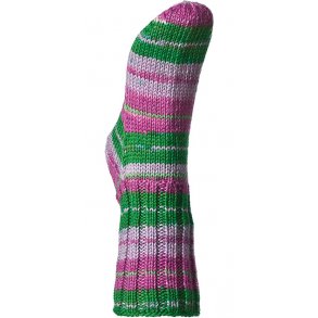 Raggi 100 Gram Ceris/syren/grn print 1539