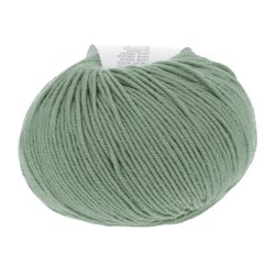 Lang Yarns - Merino 120 Fv. 91 Salvie