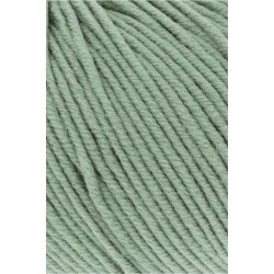 Lang Yarns - Merino 120 Fv. 91 Salvie