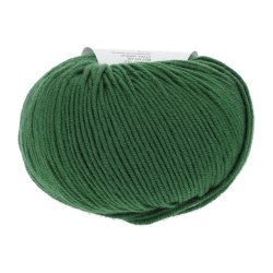 Lang Yarns - Merino 120 Fv. 417 Grn