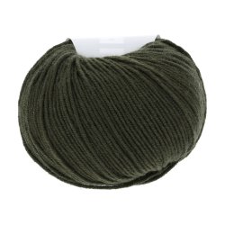 Lang Yarns - Merino 120 Fv. 498 Jger Grn