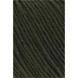 Lang Yarns - Merino 120 Fv. 498 Jger Grn