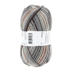 Lang Yarns - Super Soxx Silk Color Fv. 407 Gr�/Kit/RustTaupe