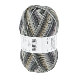 Lang Yarns - Super Soxx Silk Color Fv. 463 Monday
