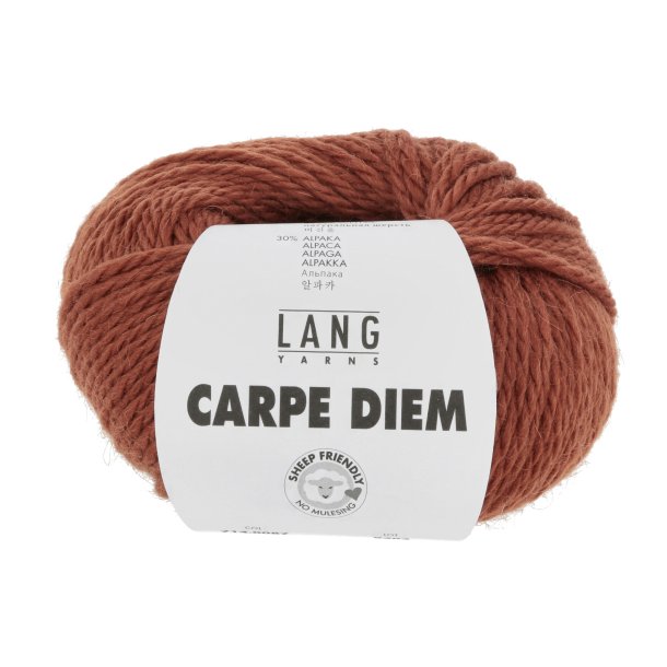 Lang Yarns - Carpe Diem Fv. 87 RdBrun