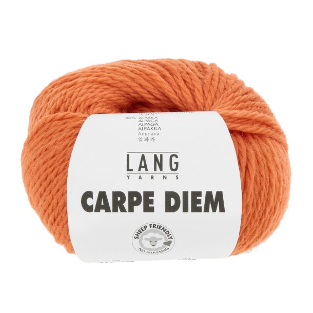 Lang Yarns - Carpe Diem Fv. 259 Grskar