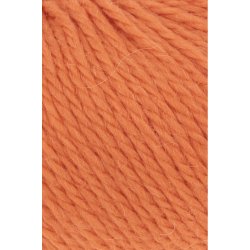 Lang Yarns - Carpe Diem Fv. 259 Grskar