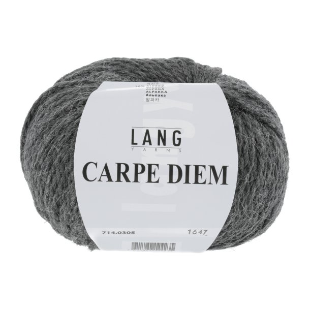 Lang Yarns - Carpe Diem Fv. 305 Mellem Gr