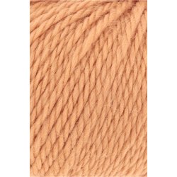 Lang Yarns - Carpe Diem Fv. 359 Mandarin