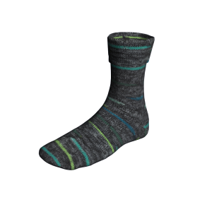 Lang Yarns - Super Soxx Color Fv. 901- 0453 Custom Mix