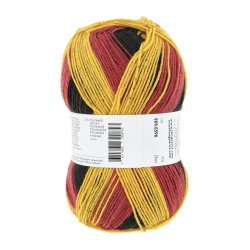 Lang Yarns - Twin Soxx 4Ply. Fv 596 Germany
