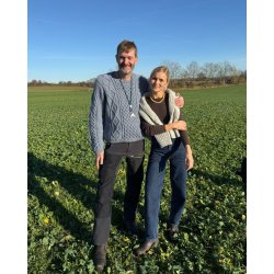 Petiteknit - Dagmar Sweater Man - Enkeltopskrift