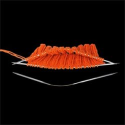 Addi Crasy Trio  Long - Strmpepinde.