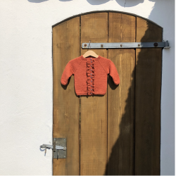 Apple of my eye - Gudrun Cardigan - Enkeltopskrift