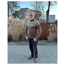 Petiteknit - Celeste Sweater Man - Enkeltopskrift