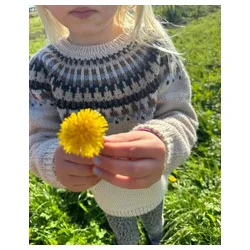 Petiteknit - Celeste Sweater Junior - Enkeltopskrift