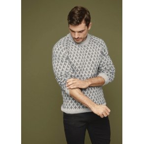 Sandnes Garn - CECILIE SKOG #3_4 RAGLANGENSER TIL HERRE - Enkeltopskrift