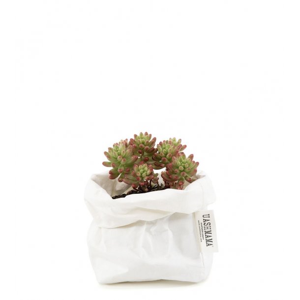 Uashmama Paper Bag - Small Fv. White