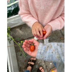 Petiteknit - Monday Sweater Junior - Enkeltopskrift